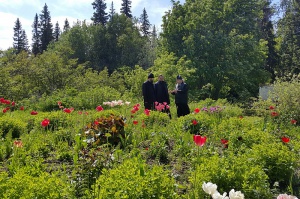 Паломничество на Соловки: Савватиевский скит и ботанический сад