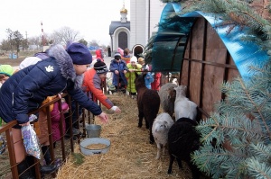 У Георгиевского собора впервые в новейшей истории Георгиевска установлен Рождественский вертеп
