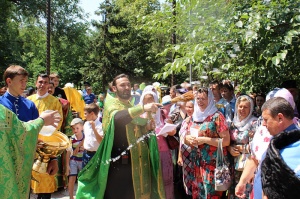 В Георгиевской епархии отпраздновали День семьи, любви и верности