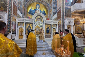 Перейти к полной новости